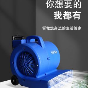 BF545商用吹風(fēng)機（新）